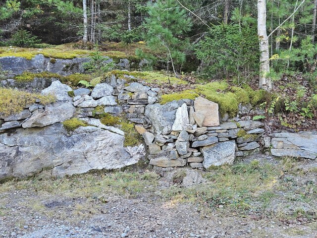 39 Catlin Shore Rd, Harpswell, ME 04079 - view of yard