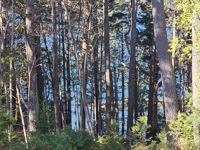 39 Catlin Shore Rd, Harpswell, ME 04079 - view of undeveloped land