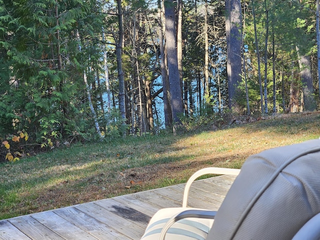 39 Catlin Shore Rd, Harpswell, ME 04079 - view of wooden deck