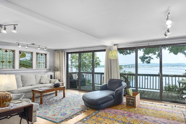 living area featuring a healthy amount of sunlight, a water view, rail lighting, and wood finished floors