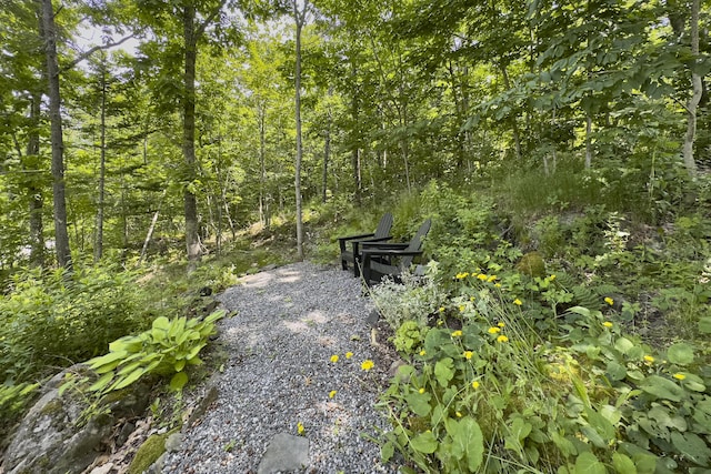view of community with a forest view