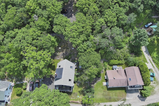 bird's eye view