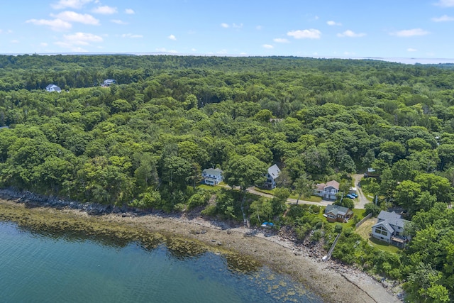 bird's eye view featuring a water view and a view of trees