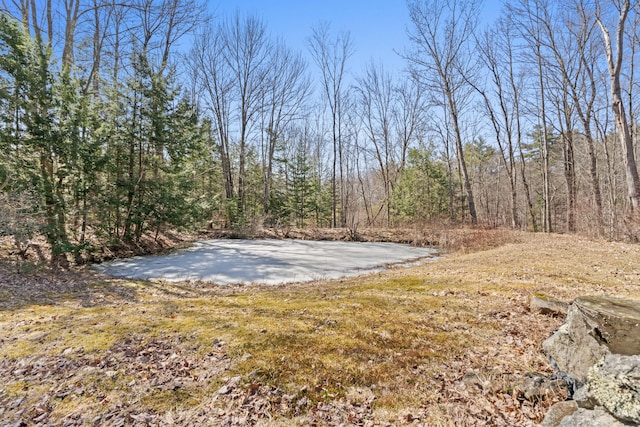 369 Windham Center Rd, Windham, ME 04062 - view of yard with a wooded view
