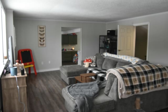58 Greenwood Ave, Skowhegan, ME 04976 - living area featuring dark wood-style floors, baseboards, and crown molding