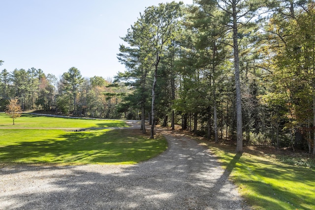 view of home's community with a yard and a view of trees