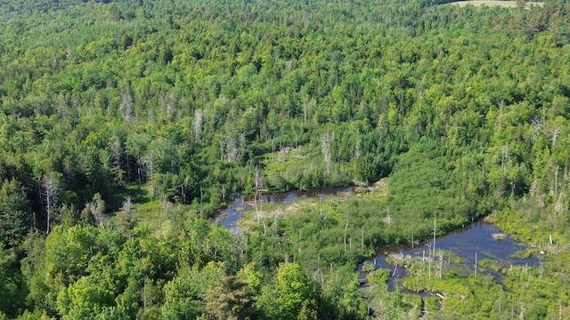 M12Lot29 Monroe Highway, Brooks, ME 04921
