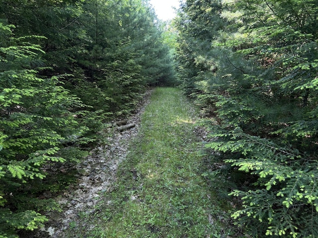 M12Lot29 Monroe Highway, Brooks, ME 04921