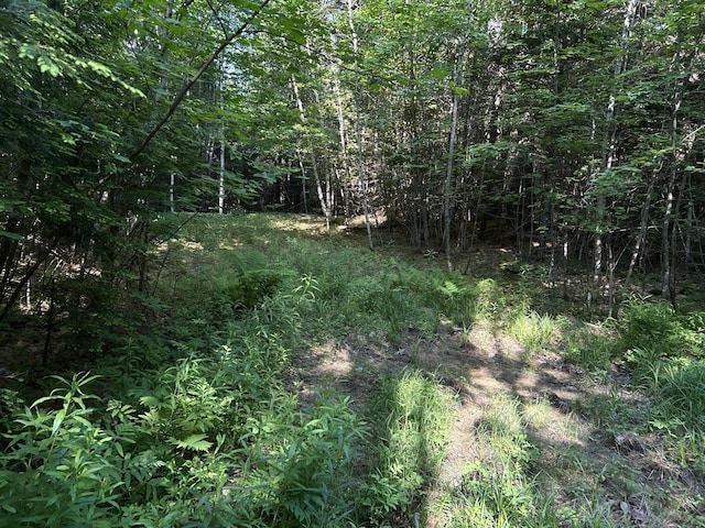 M12Lot29 Monroe Highway, Brooks, ME 04921