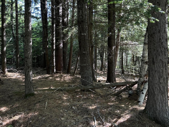 M12Lot29 Monroe Highway, Brooks, ME 04921