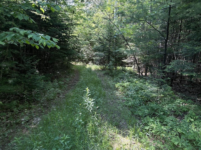 M12Lot29 Monroe Highway, Brooks, ME 04921