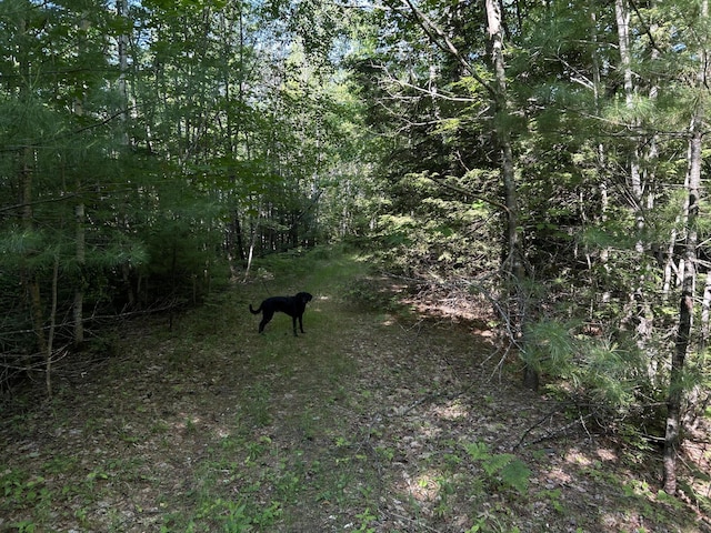 M12Lot29 Monroe Highway, Brooks, ME 04921