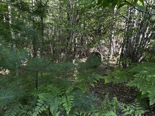 M12Lot29 Monroe Highway, Brooks, ME 04921