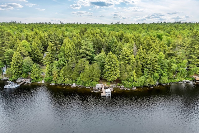 32 Seymour Cove Rd, Bowerbank, ME 04426 - bird's eye view of a large body of water and a forest