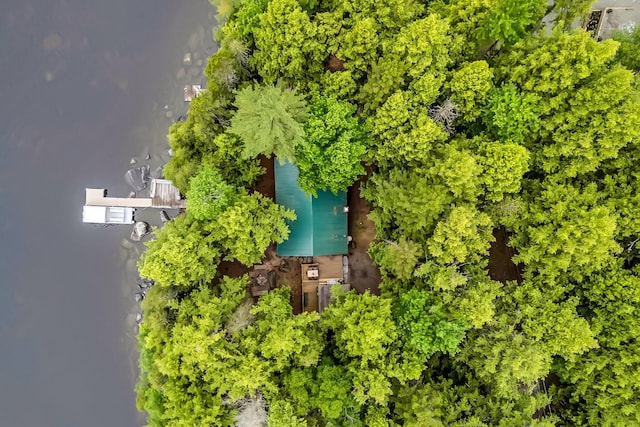 32 Seymour Cove Rd, Bowerbank, ME 04426 - view from above of property