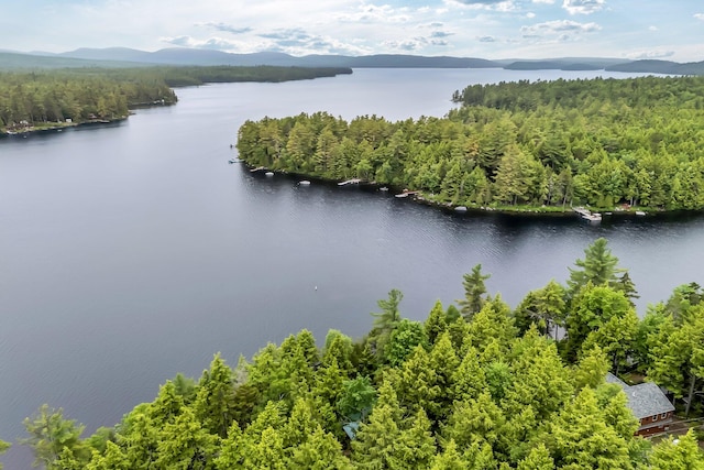 32 Seymour Cove Rd, Bowerbank, ME 04426 - drone / aerial view of a water and mountain view and a heavily wooded area