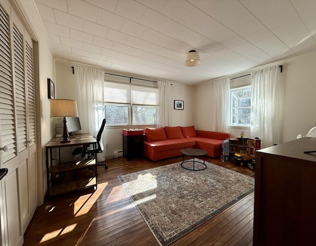 living room featuring a baseboard radiator and hardwood / wood-style flooring