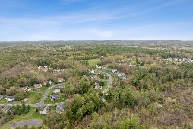 33 Old Dynamite Way, Gorham, ME 04038 - view of property location with a heavily wooded area