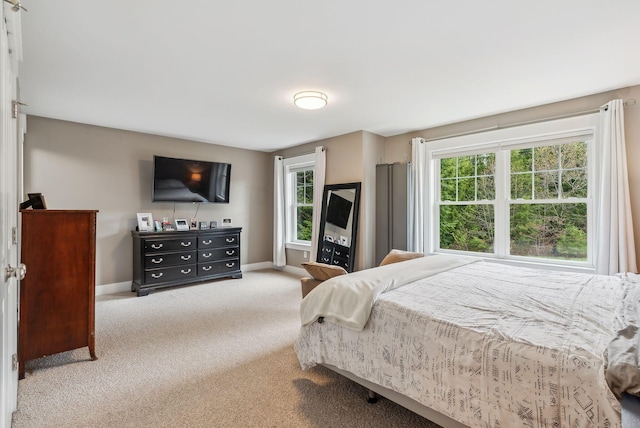 33 Old Dynamite Way, Gorham, ME 04038 - bedroom with carpet flooring and baseboards