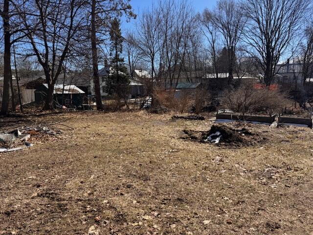 view of yard featuring a garden