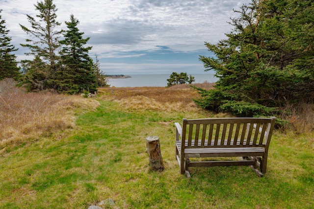 421 Petitmanan Point Rd, Steuben, ME 04680 - view of home's community with a water view