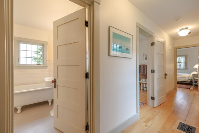 421 Petitmanan Point Rd, Steuben, ME 04680 - hall featuring light wood finished floors and baseboards