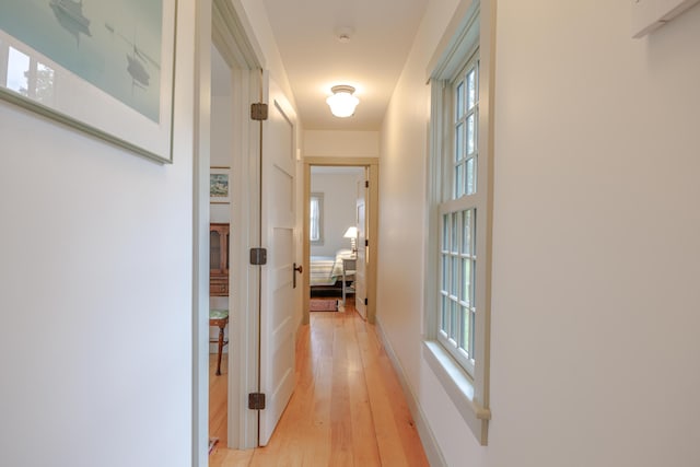 421 Petitmanan Point Rd, Steuben, ME 04680 - hall with light wood finished floors