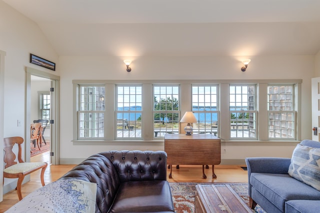 421 Petitmanan Point Rd, Steuben, ME 04680 - living room featuring plenty of natural light, light wood-style flooring, and lofted ceiling