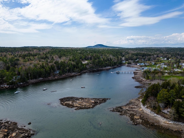 31 Windswept Ln, Blue Hill, ME 04614 - photo 69