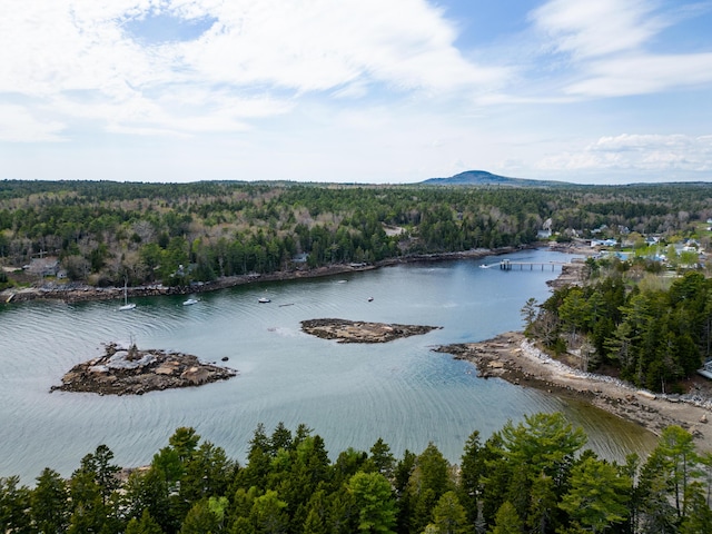 31 Windswept Ln, Blue Hill, ME 04614 - photo 68