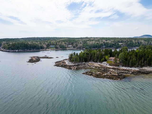 31 Windswept Ln, Blue Hill, ME 04614 - photo 71