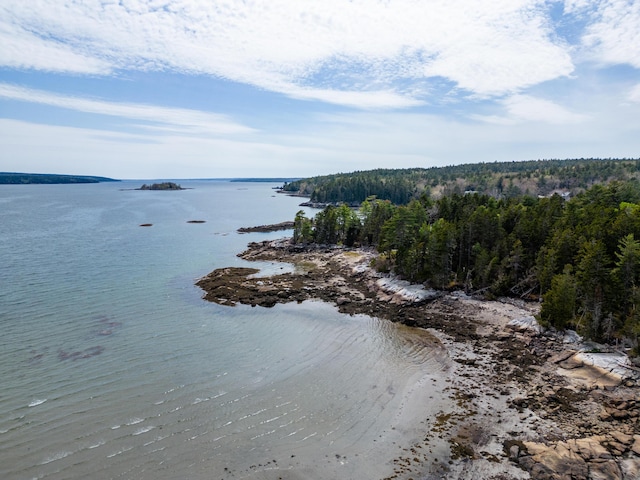 31 Windswept Ln, Blue Hill, ME 04614 - photo 67