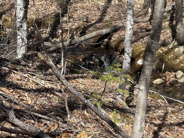 R17L17 Weld Rd, Phillips, ME 04966