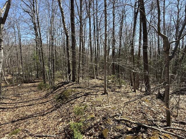 R17L17 Weld Rd, Phillips, ME 04966