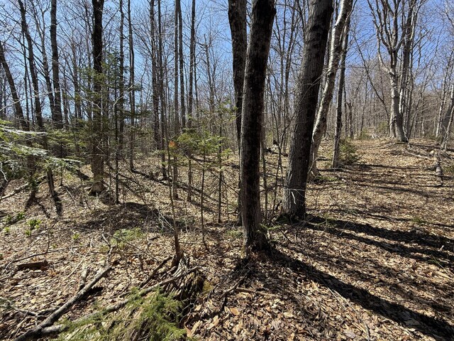 R17L17 Weld Rd, Phillips, ME 04966
