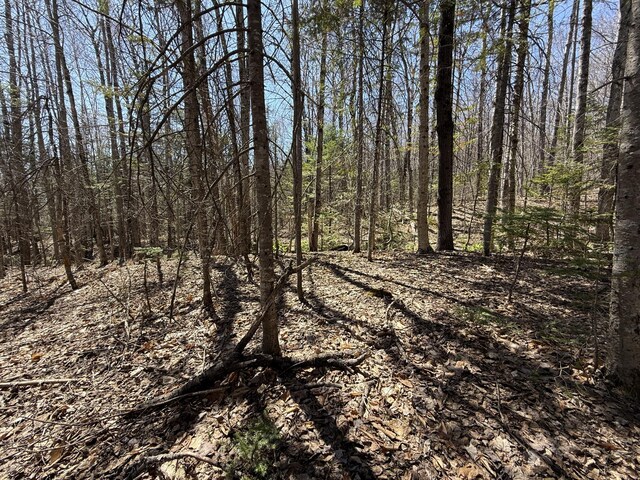 R17L17 Weld Rd, Phillips, ME 04966
