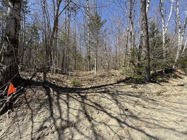 R17L17 Weld Rd, Phillips, ME 04966