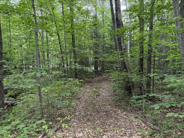 R17L17 Weld Rd, Phillips, ME 04966