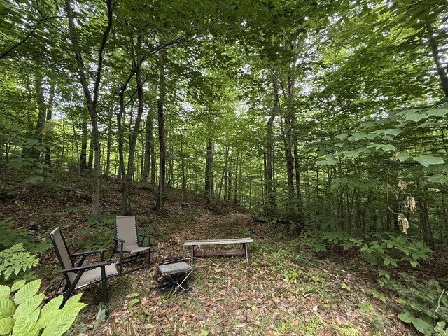 R17L17 Weld Rd, Phillips, ME 04966