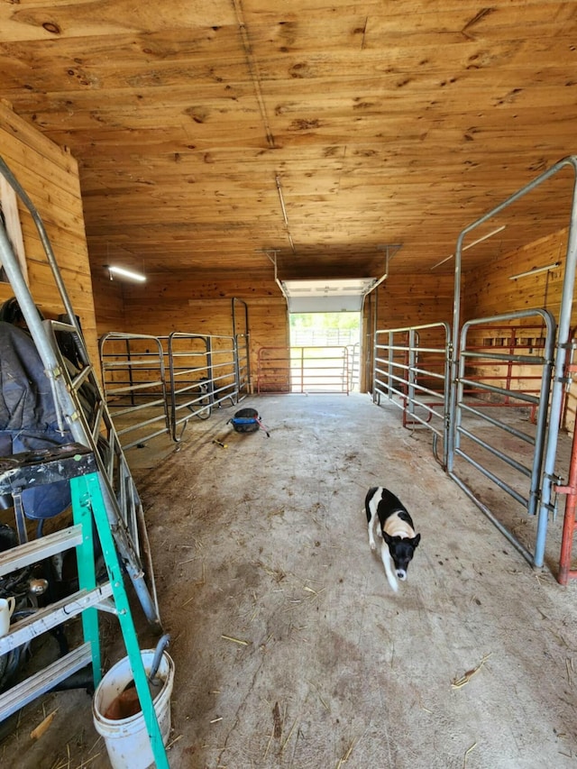 view of horse barn