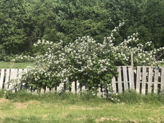57 Oxford St, Augusta, ME 04330 - view of yard