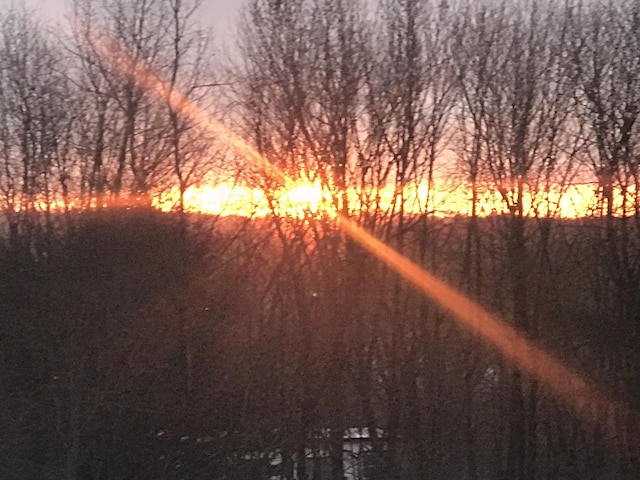 57 Oxford St, Augusta, ME 04330 - nature at dusk with a forest view