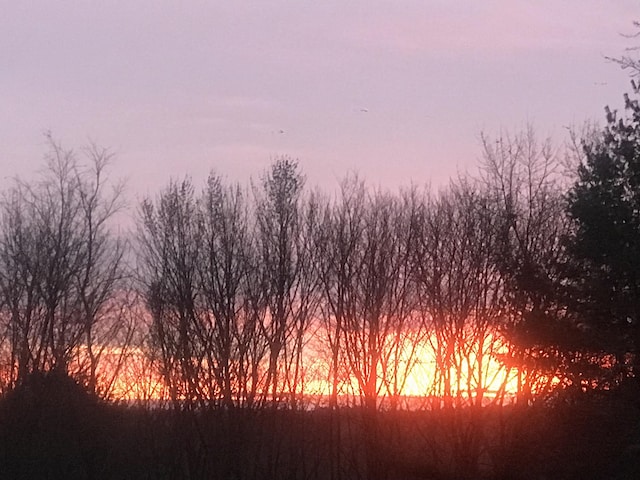 57 Oxford St, Augusta, ME 04330 - view of local wilderness