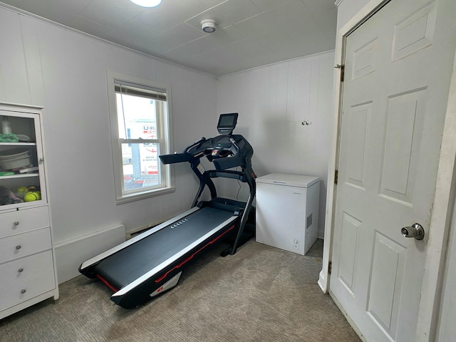 exercise area featuring carpet floors