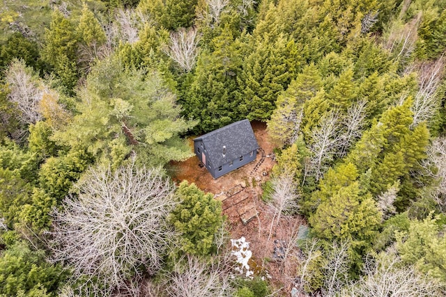 LOT6-1 Sand Shed Loop, Amherst, ME 04605 - aerial view with a forest view
