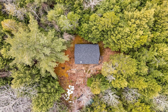 LOT6-1 Sand Shed Loop, Amherst, ME 04605 - drone / aerial view with a forest view