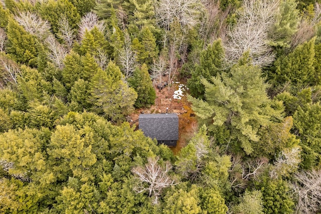 LOT6-1 Sand Shed Loop, Amherst, ME 04605 - birds eye view of property with a wooded view