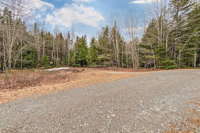 LOT6-1 Sand Shed Loop, Amherst, ME 04605 - view of road