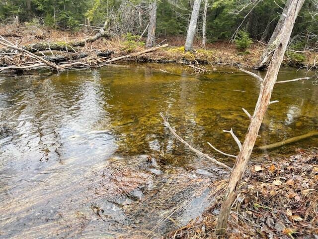 LOT6-1 Sand Shed Loop, Amherst, ME 04605 - exterior space