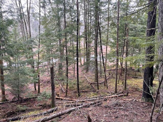 LOT6-1 Sand Shed Loop, Amherst, ME 04605 - view of nature featuring a forest view